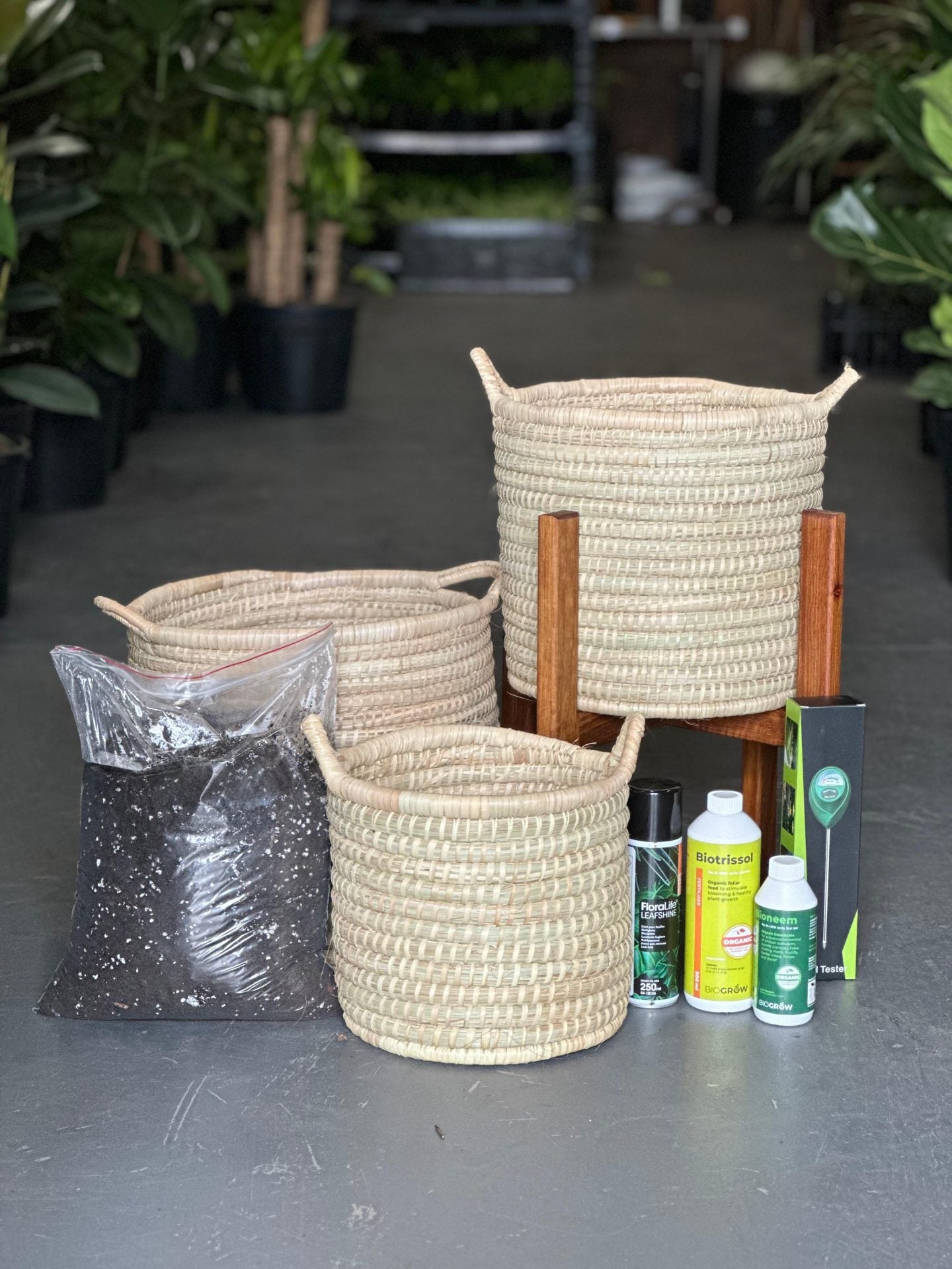 19+ Indoor Plant Accessories Plant Accessories – Botanical Heaven
