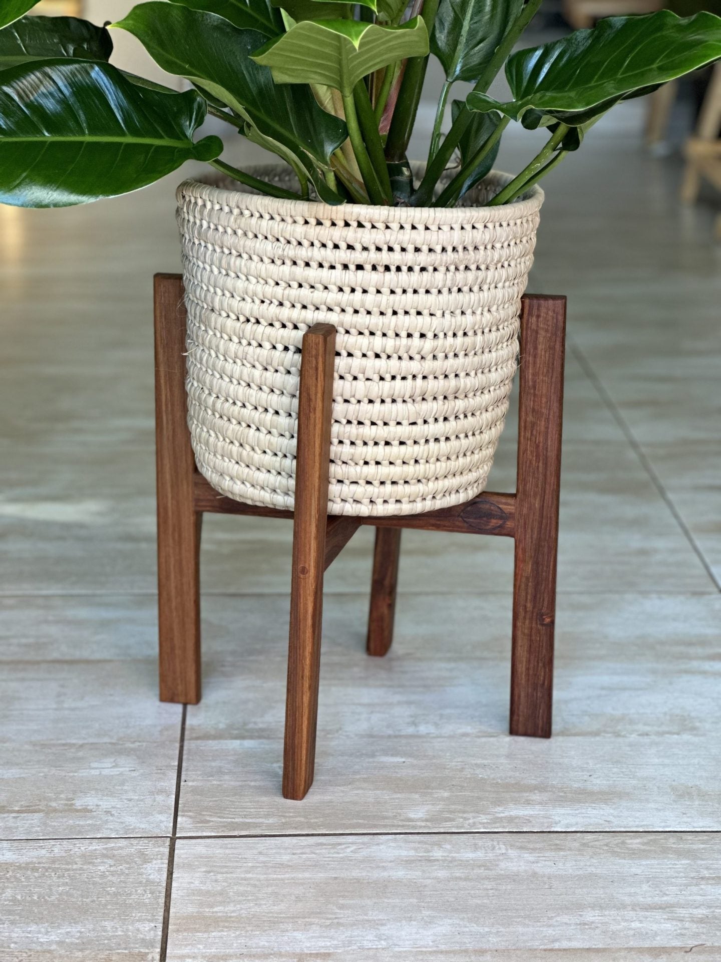 Large Plant Stand- Kiaat – Botanical Heaven