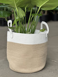 Large Natural Cotton Rope Basket - EH