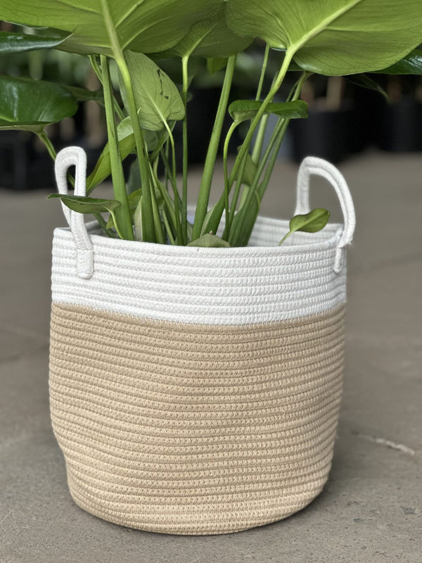 Large Natural Cotton Rope Basket - EH