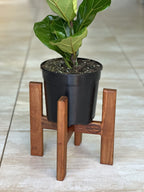 Small Plant Stand- Kiaat