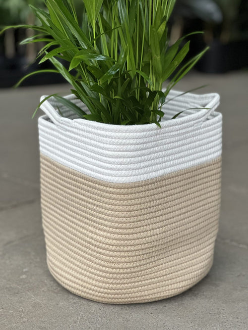 Large Natural Cotton Rope Basket - HH
