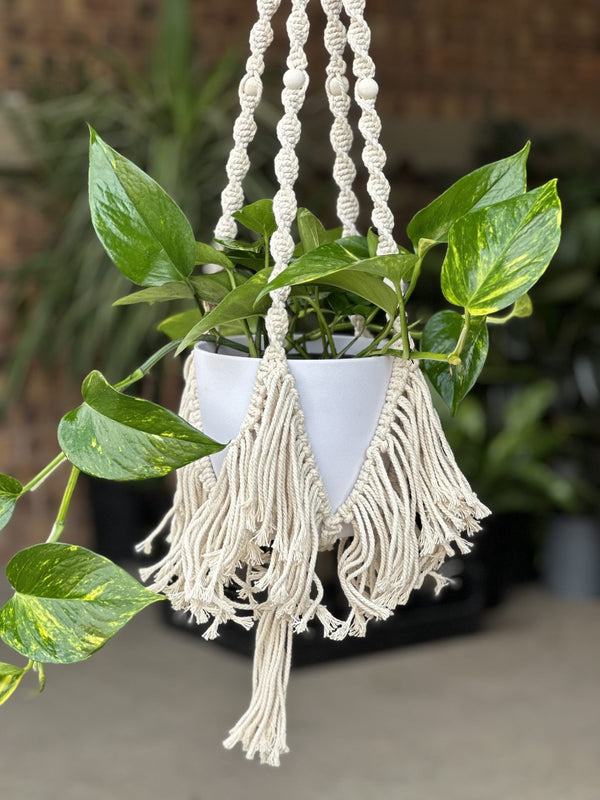 Macrame Plant Hanger 4