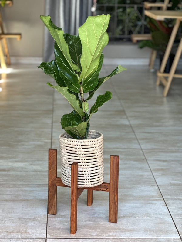 Medium Plant Stand- Kiaat