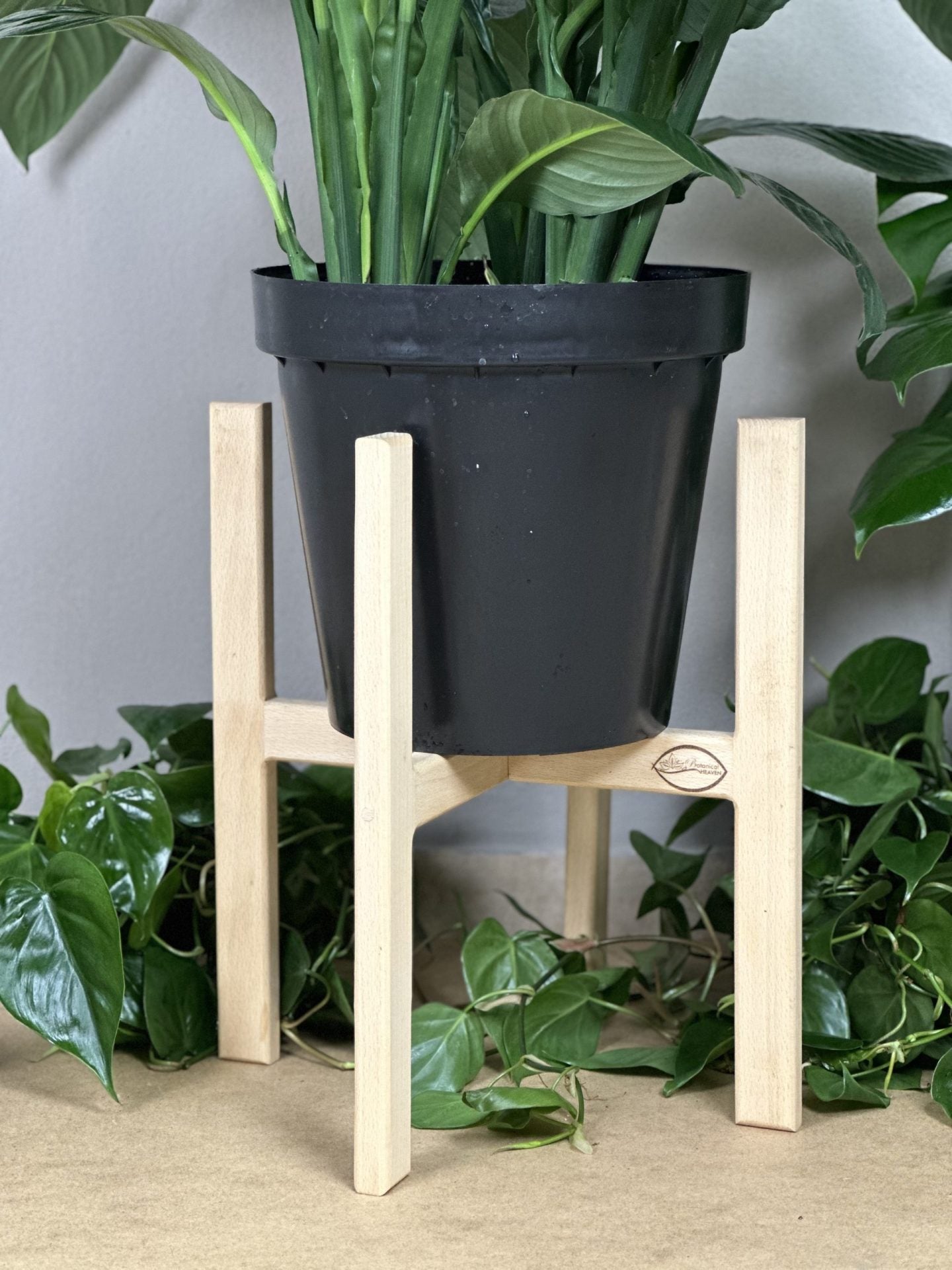 Large Plant Stand- Beech