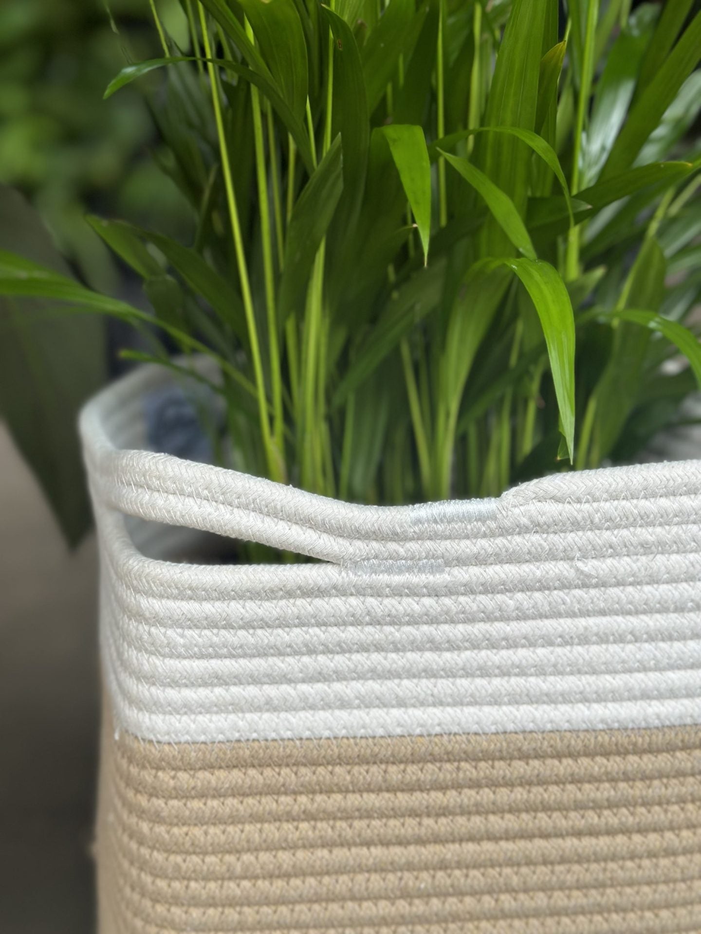 Large Natural Cotton Rope Basket - HH