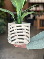 Medium Peace Lily Sensation With Basket