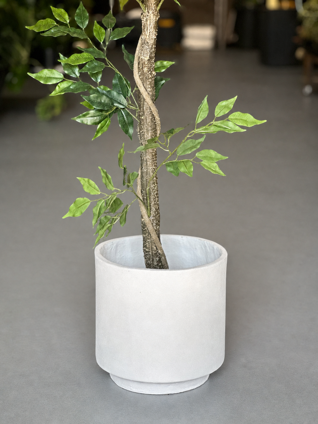 1.5m Artificial Climbing Fig Tree With Decorative Pot