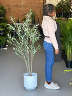1.5m Artificial Olive Tree With Decorative Pot