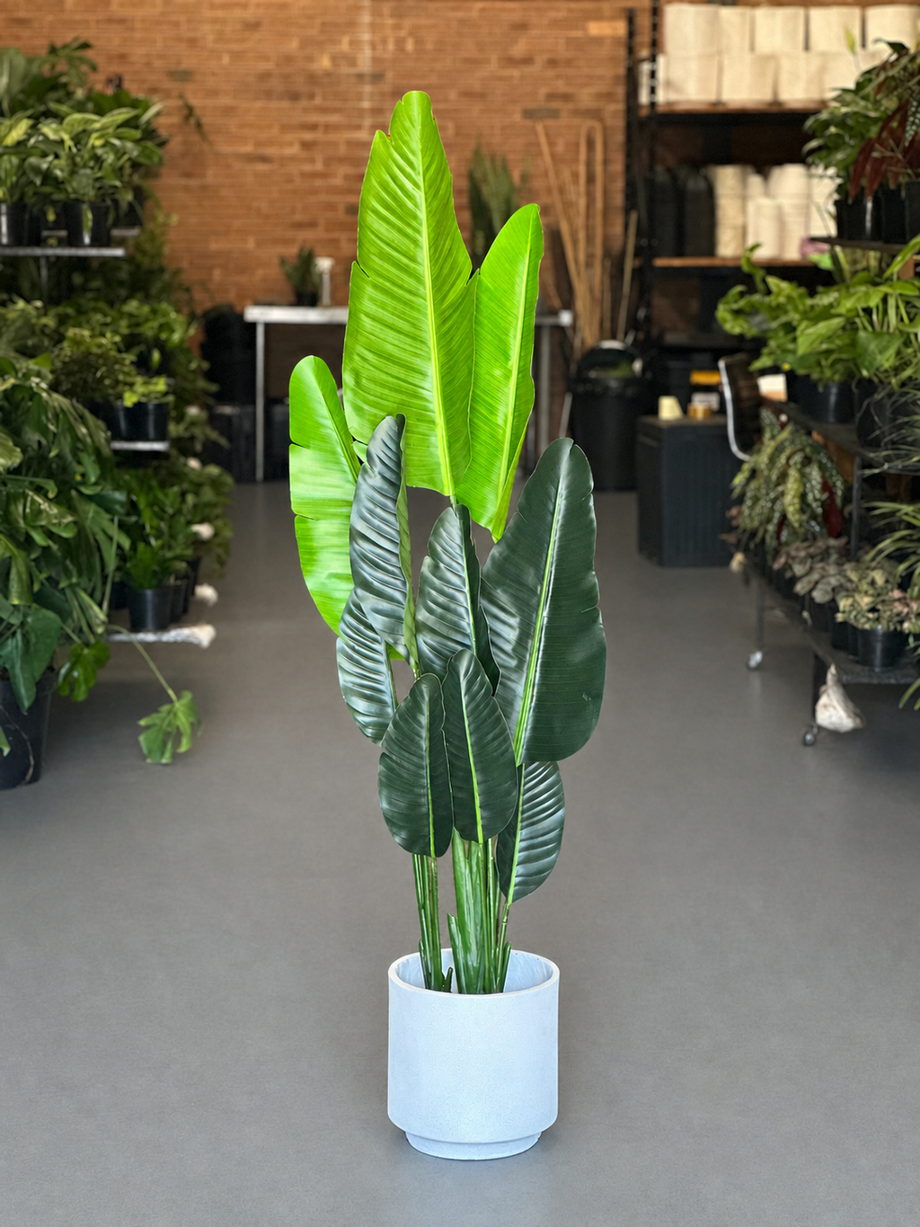 1.5m Artificial Birds of Paradise With Decorative Pot