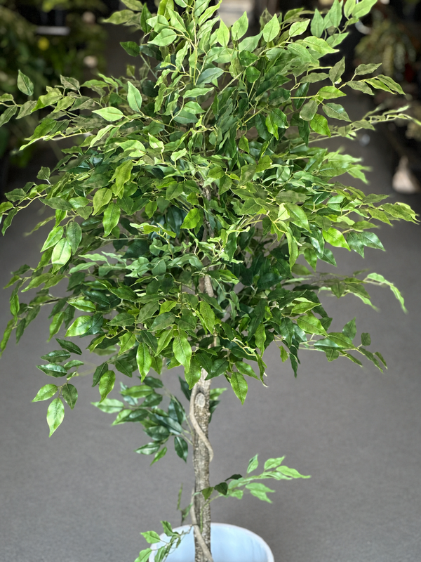 1.5m Artificial Climbing Fig Tree With Decorative Pot