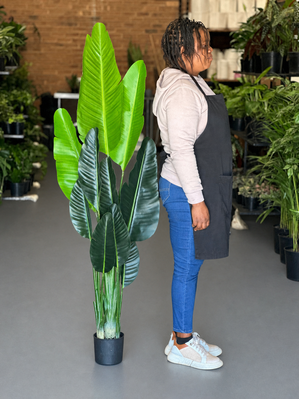 1.5m Artificial Birds of Paradise