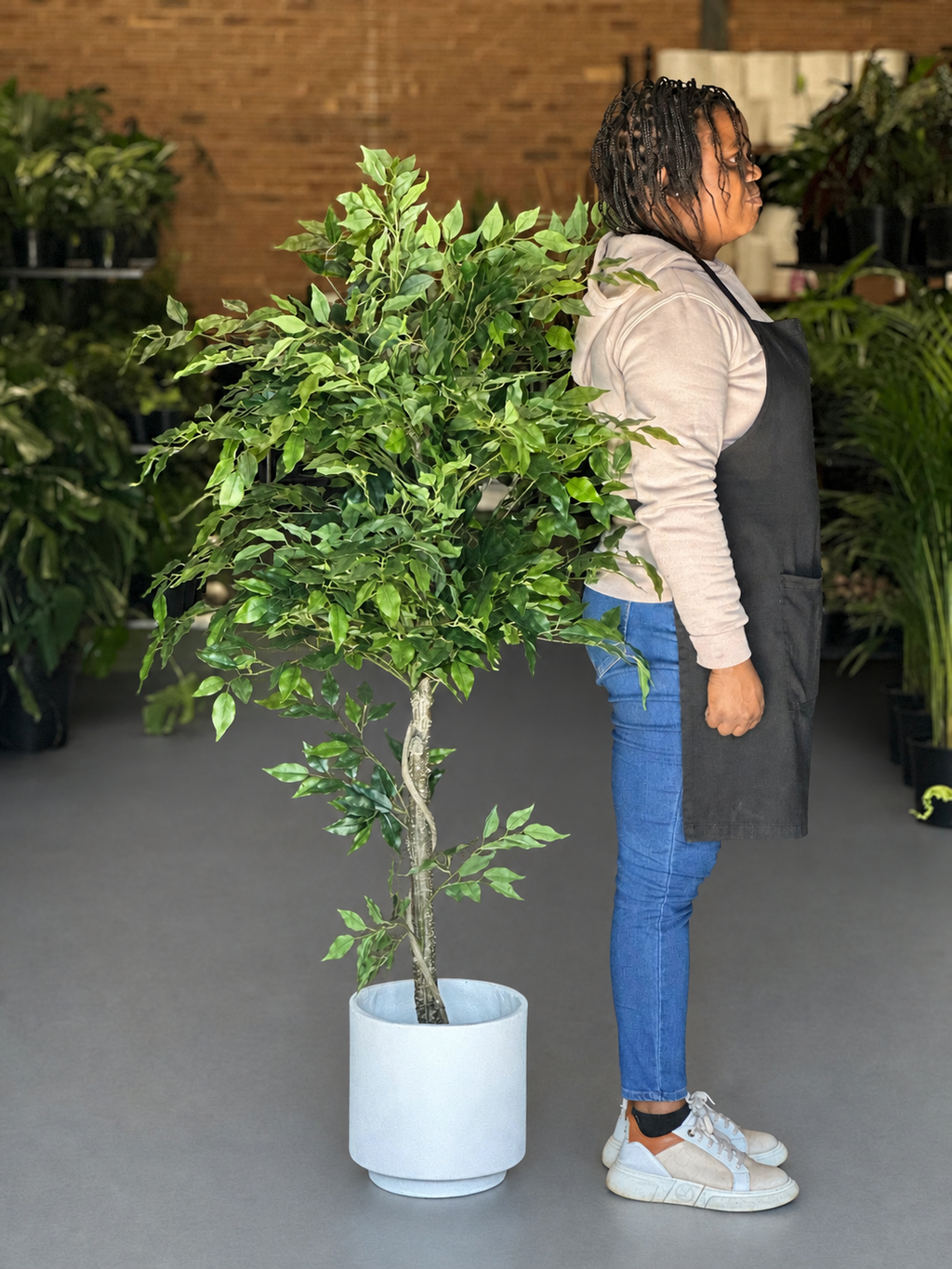 1.5m Artificial Climbing Fig Tree With Decorative Pot