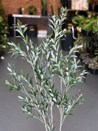 1.5m Artificial Olive Tree With Decorative Pot