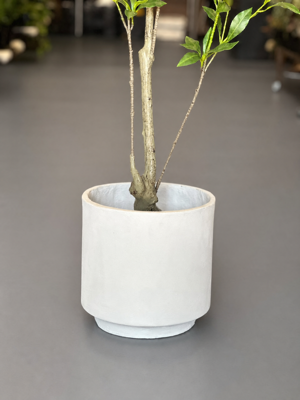 1.5m Artificial Pieris Japonica Tree With Decorative Pot