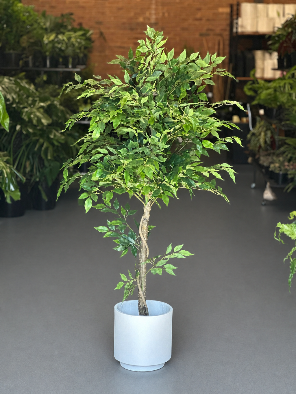 1.5m Artificial Climbing Fig Tree With Decorative Pot