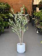 1.5m Artificial Olive Tree With Decorative Pot