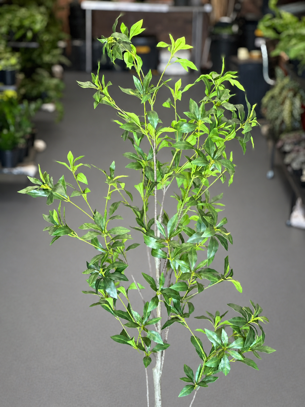 1.5m Artificial Pieris Japonica Tree With Decorative Pot