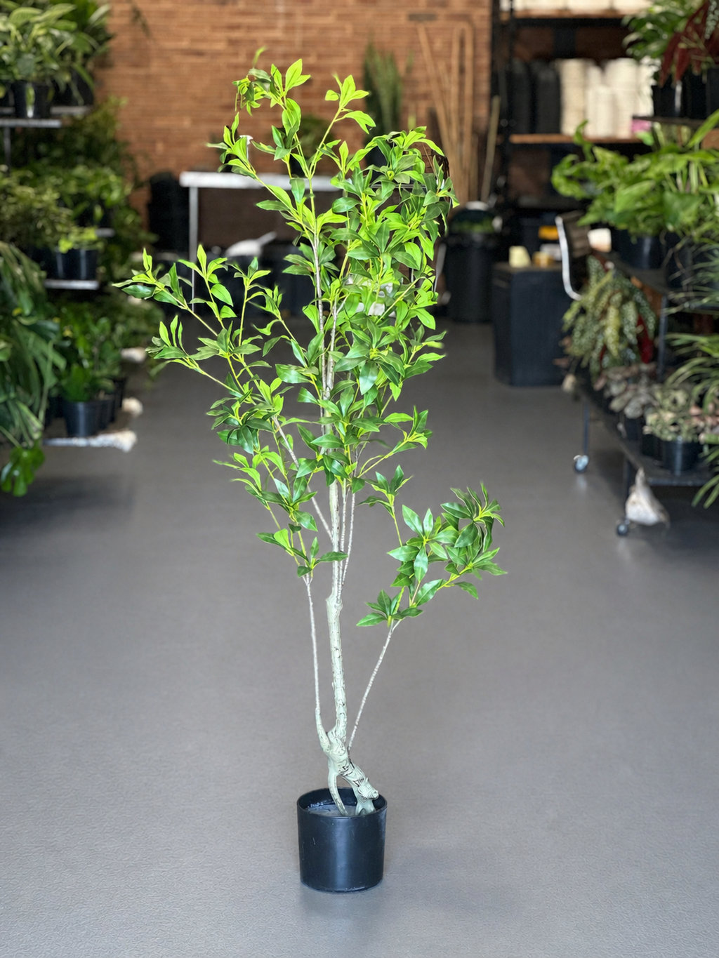 1.5m Artificial Pieris Japonica Tree