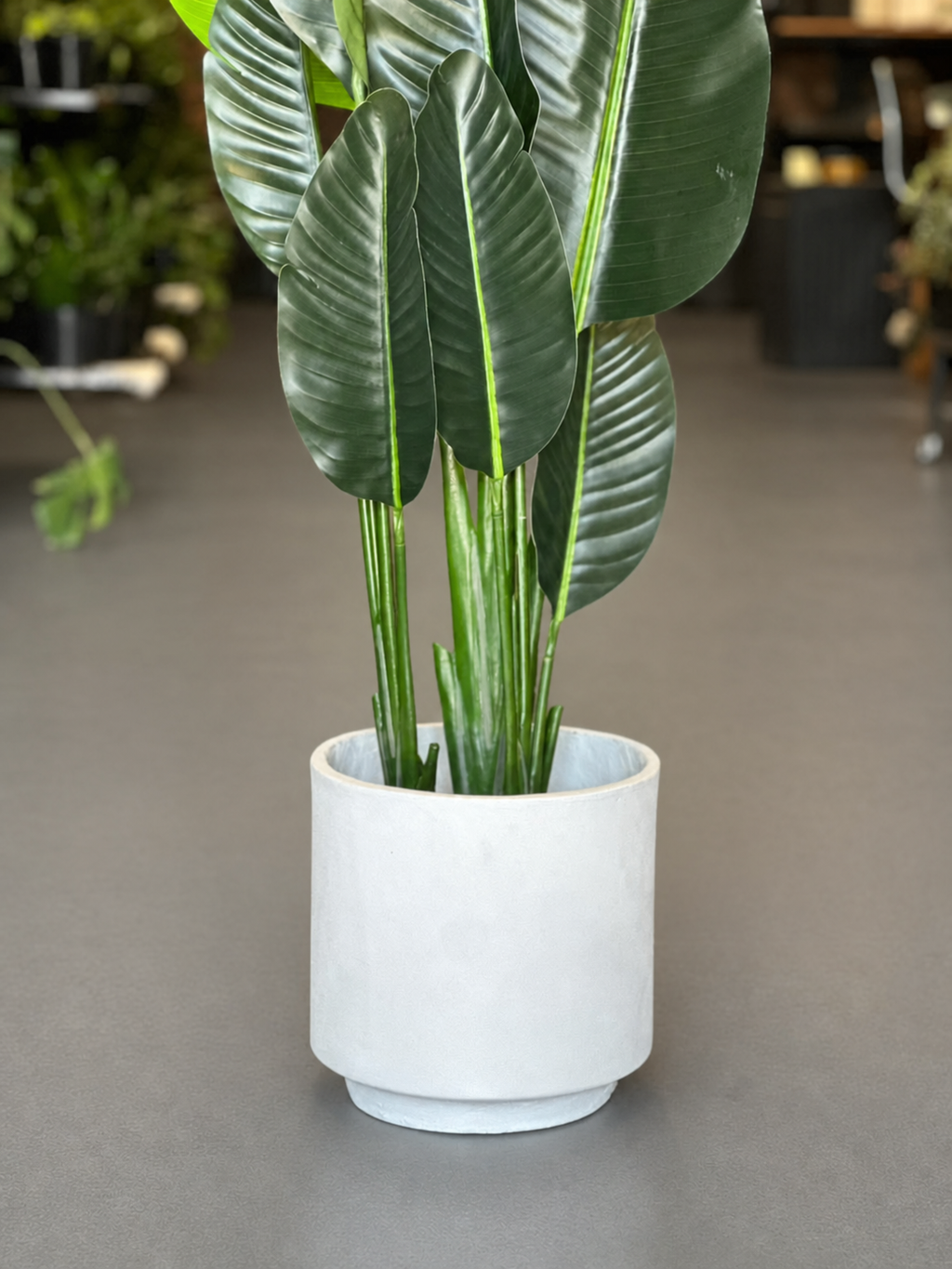 1.5m Artificial Birds of Paradise With Decorative Pot
