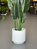 1.5m Artificial Birds of Paradise With Decorative Pot