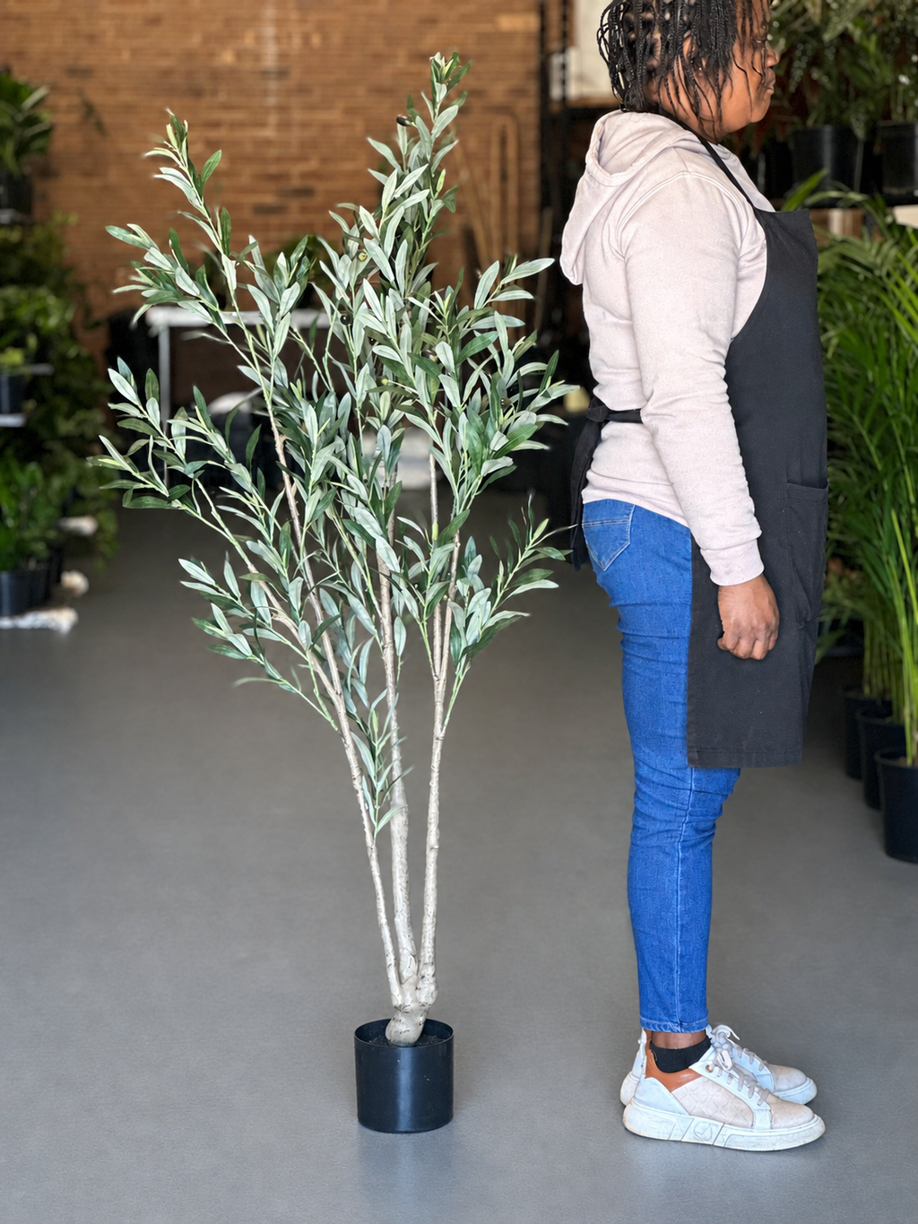 1.5m Artificial Olive Tree