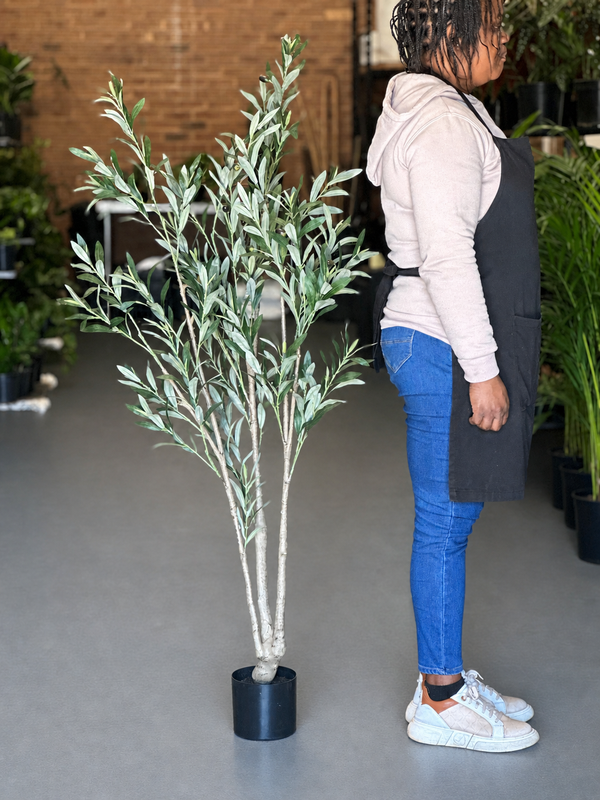1.5m Artificial Olive Tree