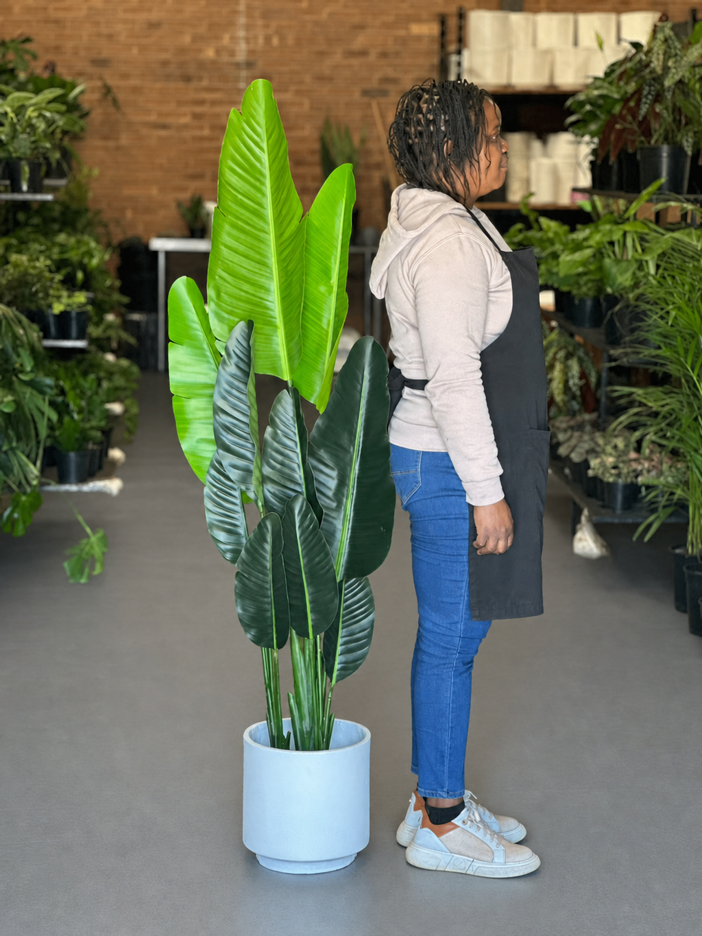 1.5m Artificial Birds of Paradise With Decorative Pot