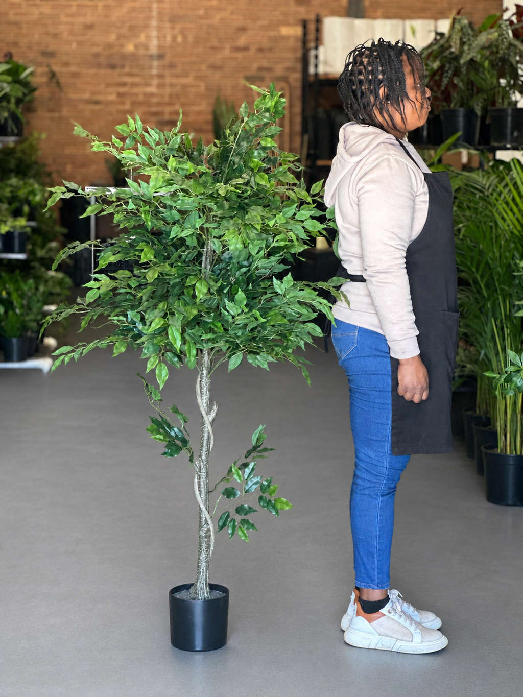 1.5m Artificial Climbing Fig Tree
