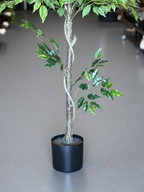 1.5m Artificial Climbing Fig Tree