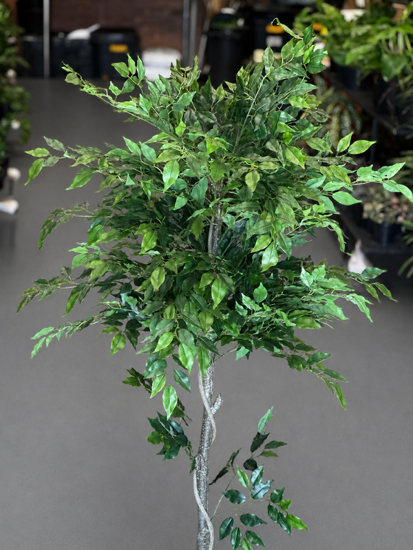 1.5m Artificial Climbing Fig Tree