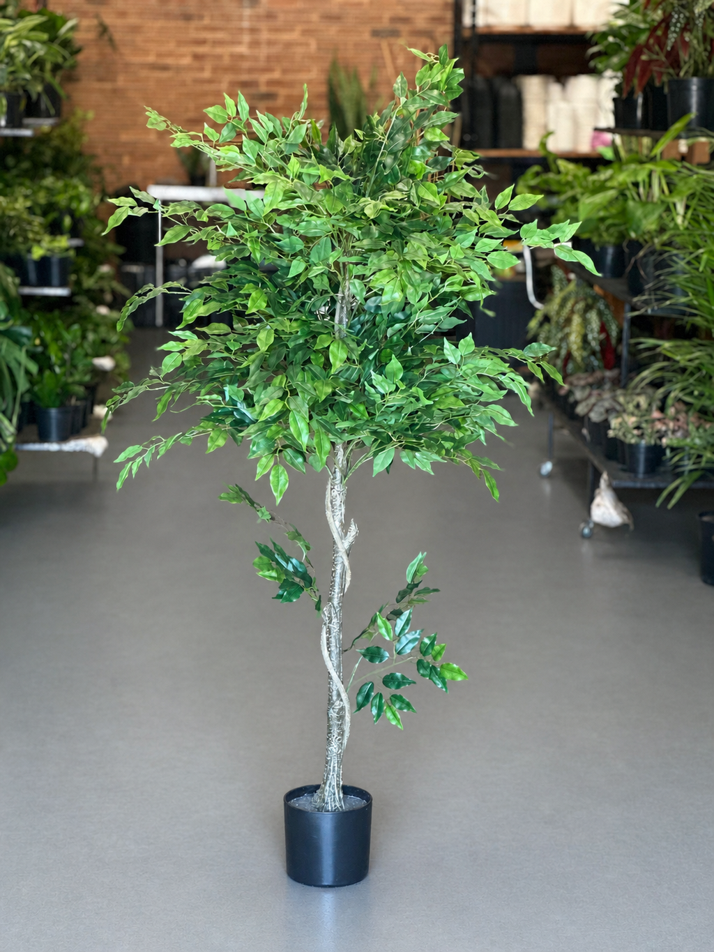 1.5m Artificial Climbing Fig Tree