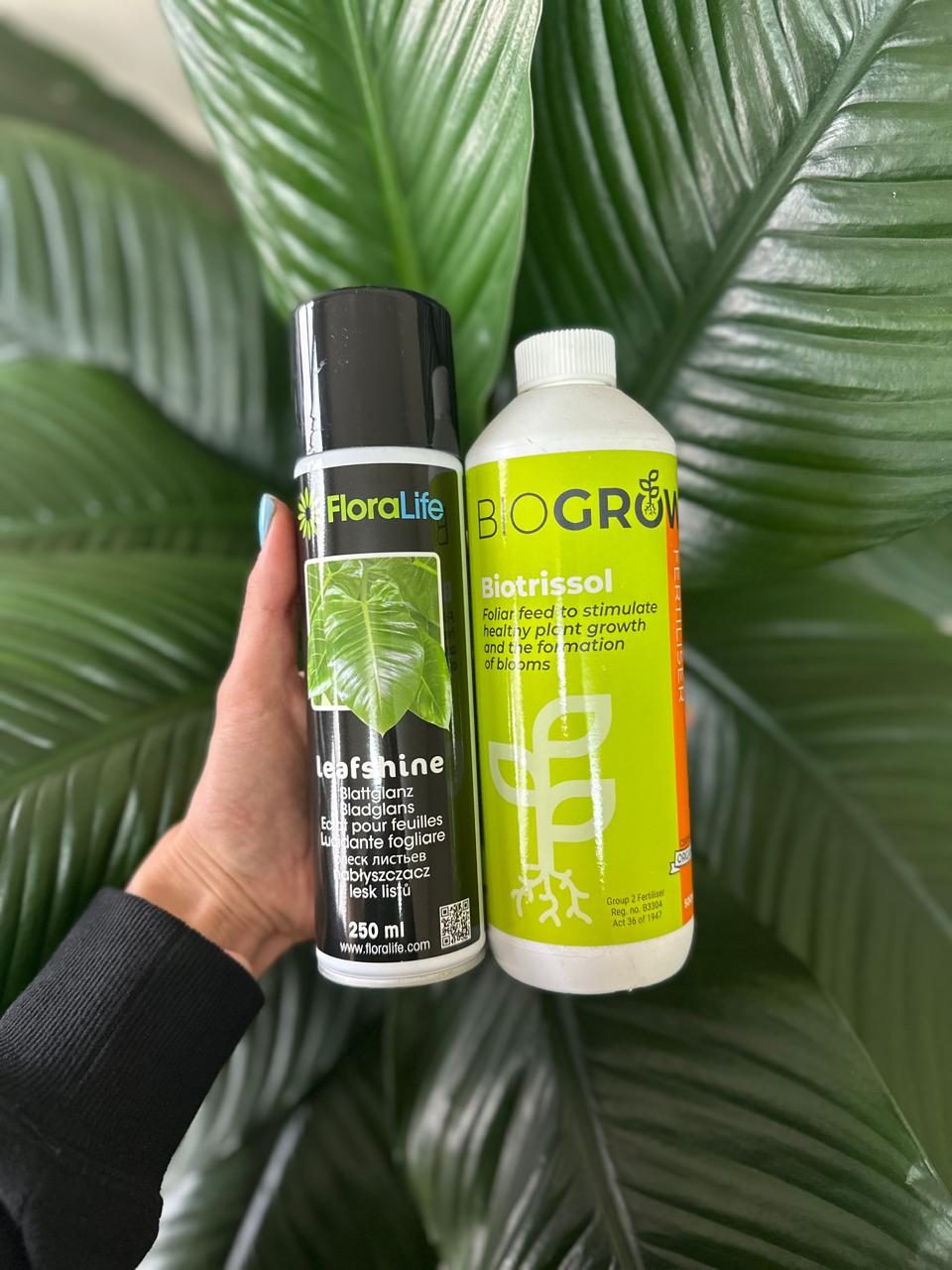 Botanical Essentials Kit