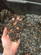 3.5kg Potting Soil Mix