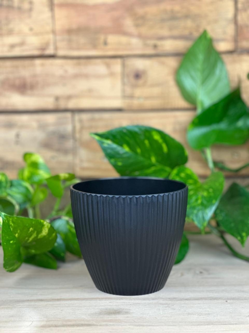 XS Luna Pot - Black