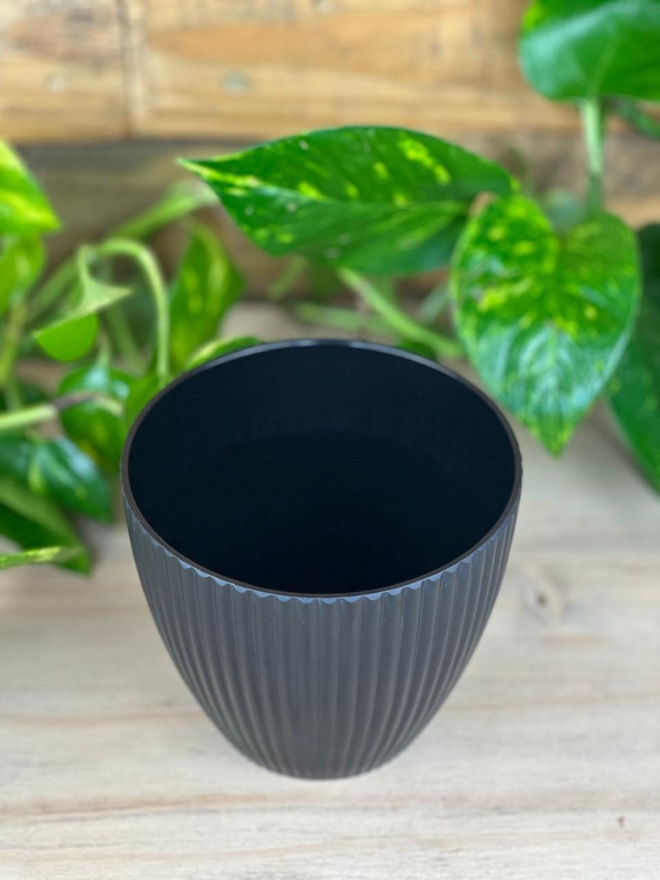 XS Luna Pot - Black