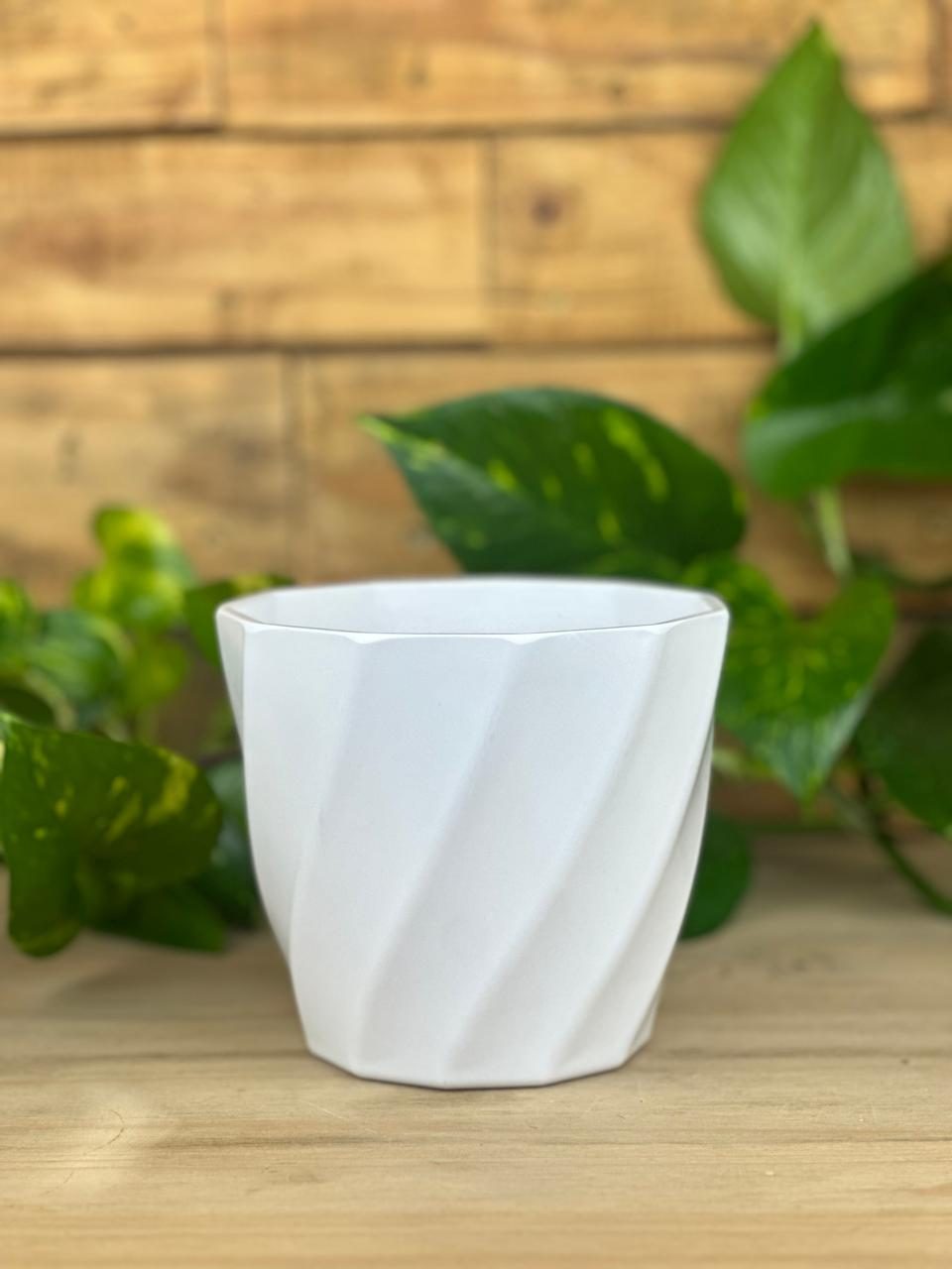 XS Nova Pot - White
