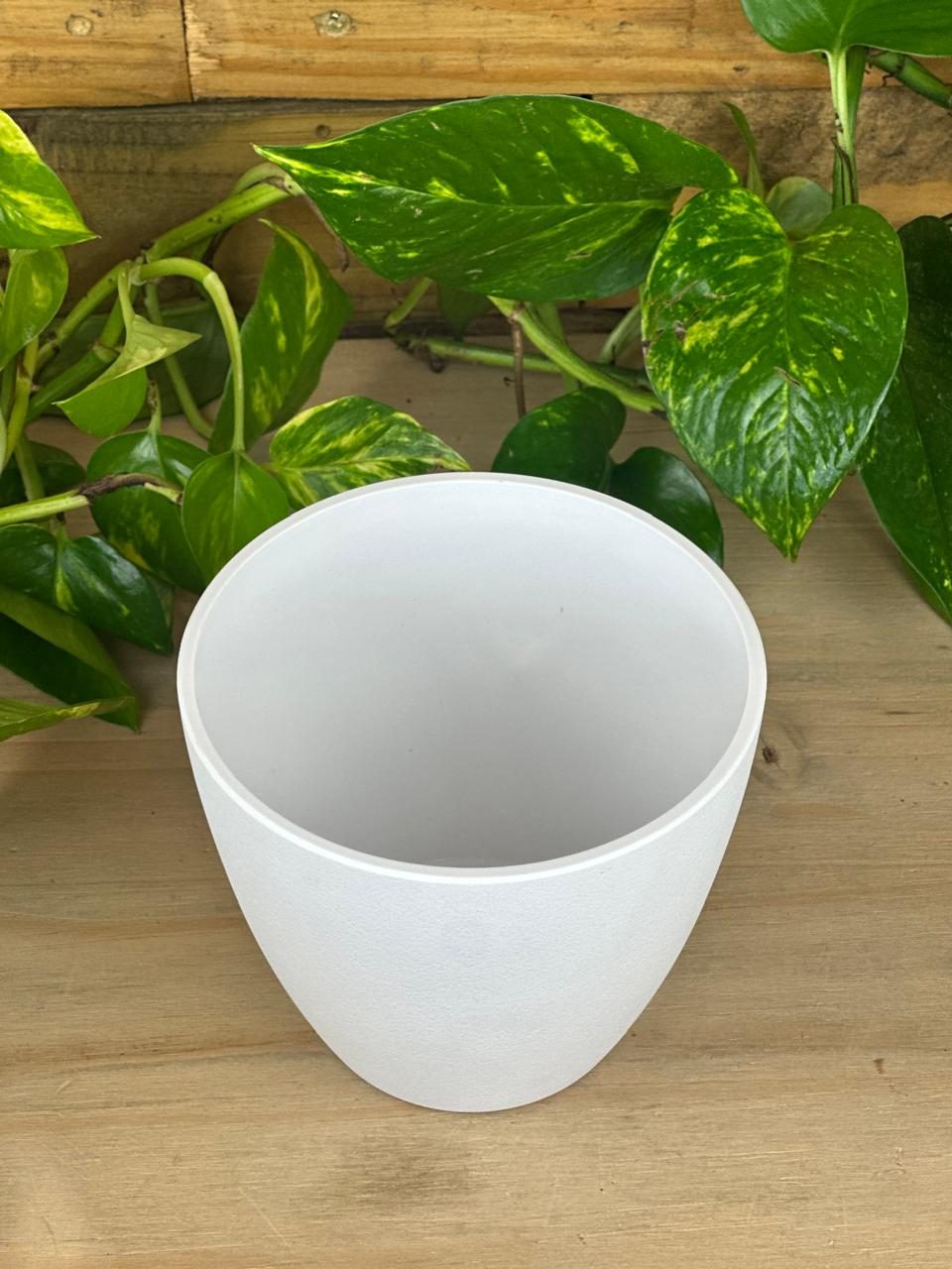 XS Sia Pot - White