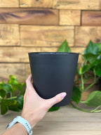 Small Zaya Pot - Black