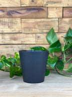 Small Zaya Pot - Black