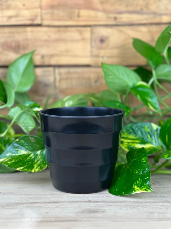 XS Arlo Pot - Black