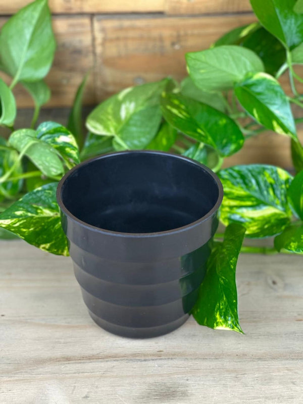 XS Arlo Pot - Black