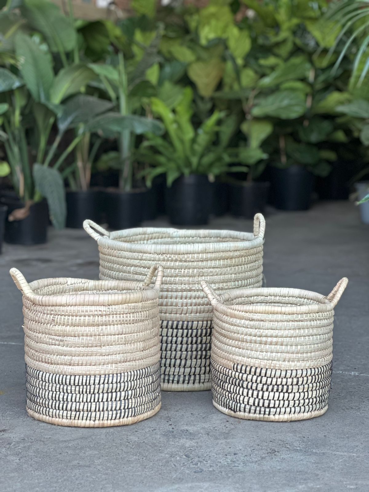Premium Black Base Medium Basket