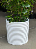 XL Decorative Pot Style 2 - White