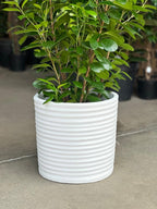 XL Decorative Pot Style 2 - White