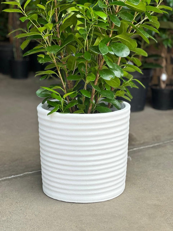 XL Decorative Pot Style 2 - White