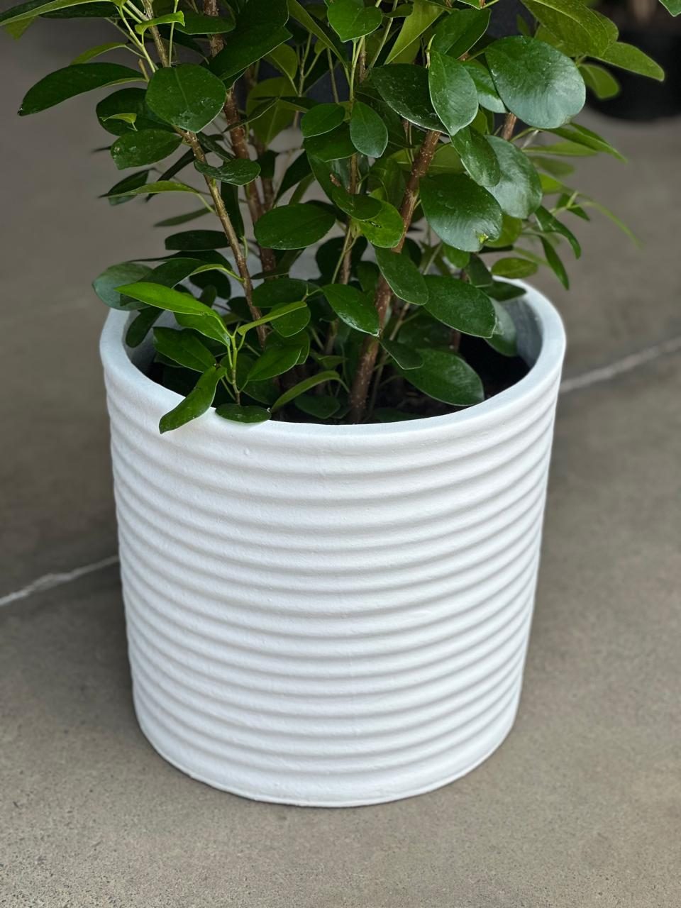 XL Decorative Pot Style 2 - White