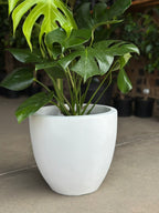 Large Decorative Pot Style 1 - White