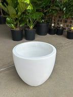 Large Decorative Pot Style 1 - White