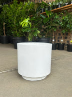 Large Decorative Pot Style 2 - White